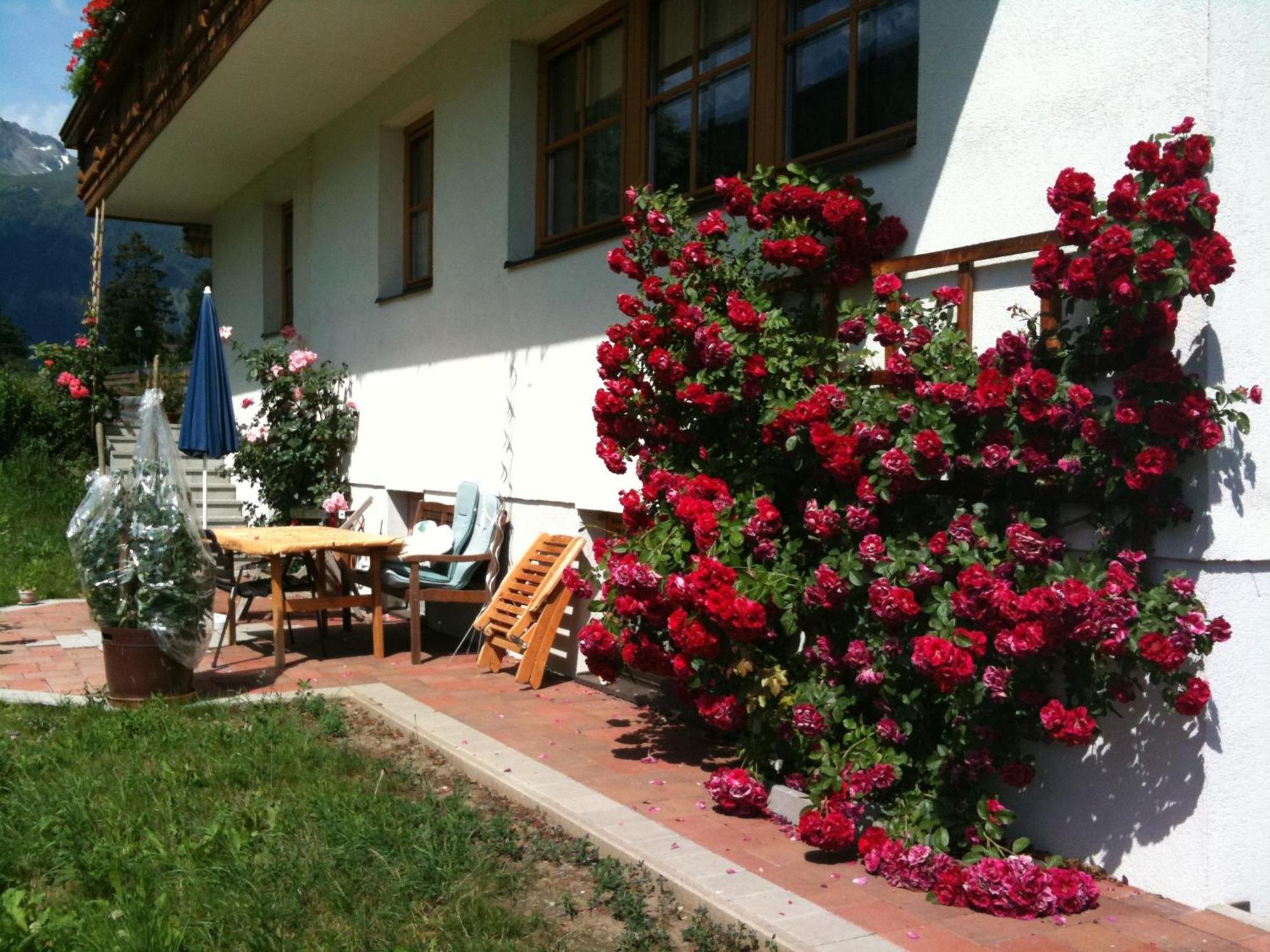 Bacherhof เวอร์เกน ภายนอก รูปภาพ